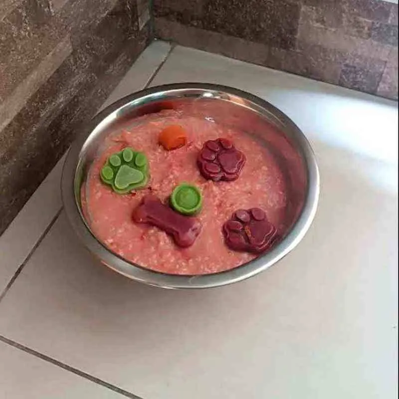 Dieta BARF para perro con alergias