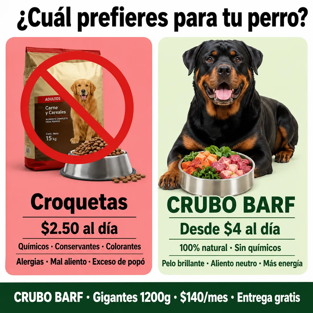 Dieta para perro de digestión sensible
